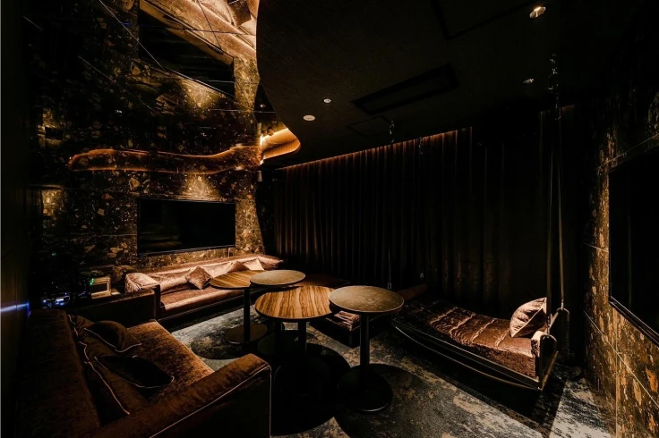 vip